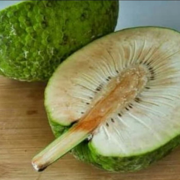 

Buah Sukun Berkualitas