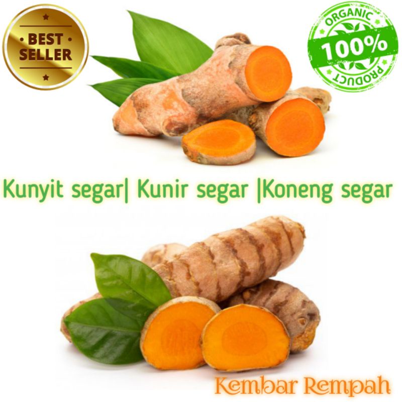 

Kunyit kunir koneng segar 1 kilogram