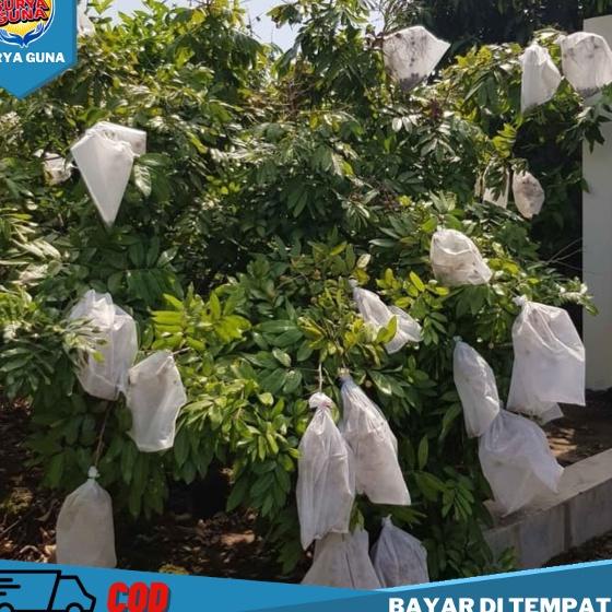 [KODE 87] kantong pembungkus buah jambu air Fruit Cover Ukuran XL 30 x 40 cm
