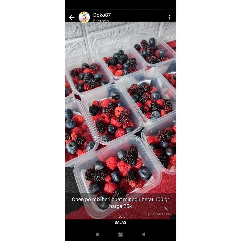 

Buah Blueberry Segar 250gr 1/4kg Seperempat Kilo