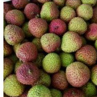 

Leci madu hijau ( fresh lychee )