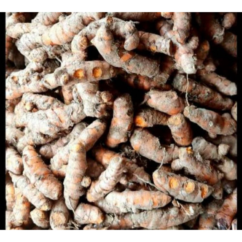 

kunyit || kunir || bumbu dapur || obat alami || bumbu masak