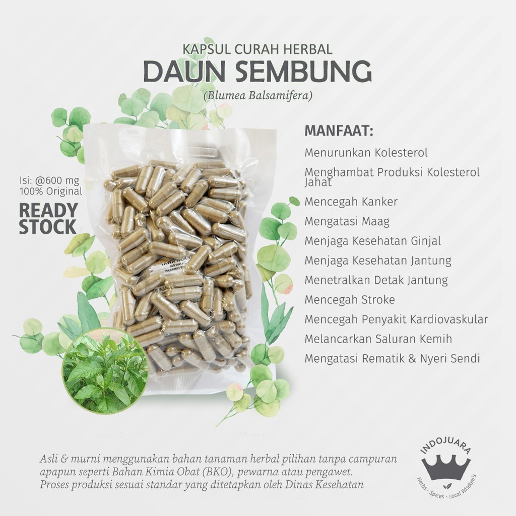 

DAUN SEMBUNG 200x600mg Kapsul Curah Herbal Kolesterol Darah Beku Jantung Maag Stroke Ginjal Wasir