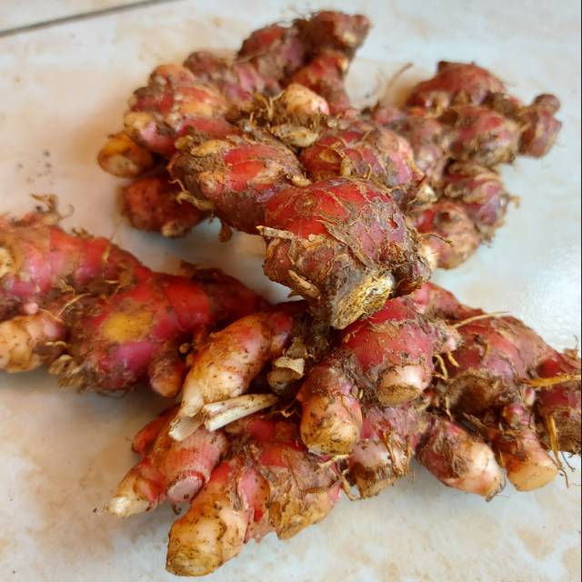 

Jahe Merah 440000/kg