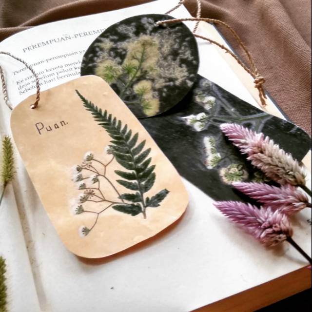 

Pembatas buku unik tanaman kering