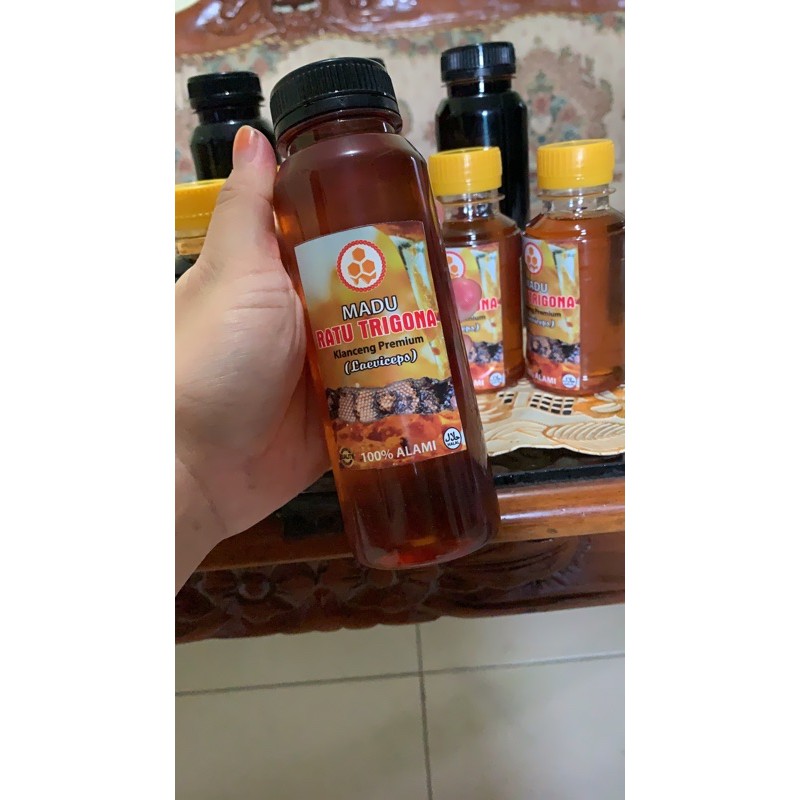 

madu klanceng trigona