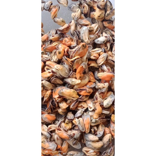 

KerangHijauKupas1Kg