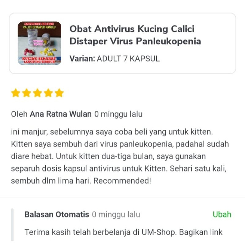 Obat Virus Kucing Calici  Panleukopenia Distemper Paling Ampuh Antivirus Cat