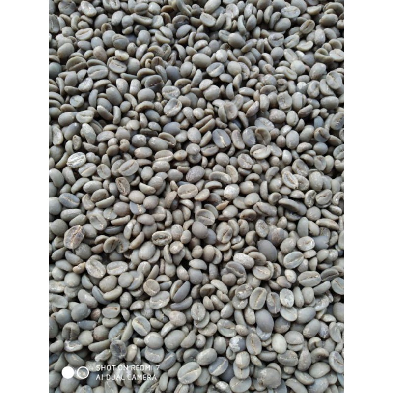 

Grenbean Arabika luwak liar Temanggung 1 kg