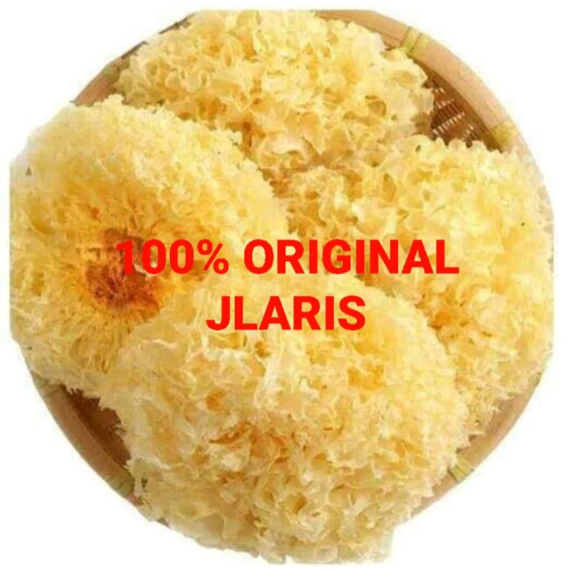

Jamur salju satu bulat / jamur putih /snow white fungus