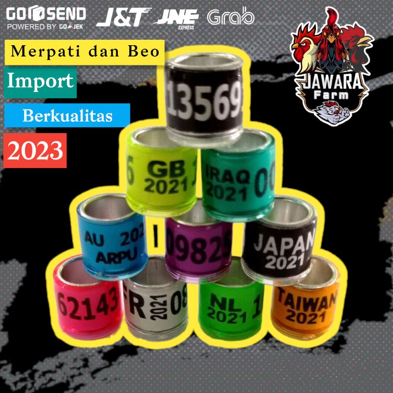 Ring Merpati Pelung Beo Import 2023