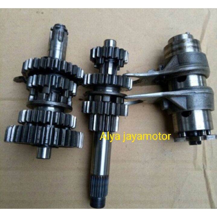 gigi rasio absolut revo fit copotan