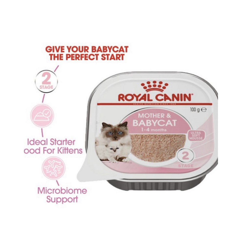 Royal Canin Mother and Baby Cat TRAY 100GR WET FOOD Makanan Anak dan Ibu Kucing