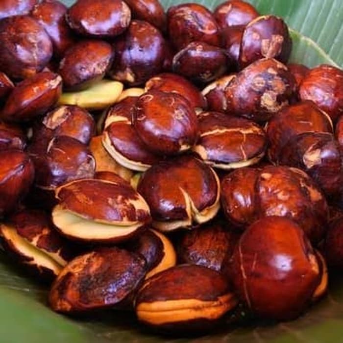 

Jengkol