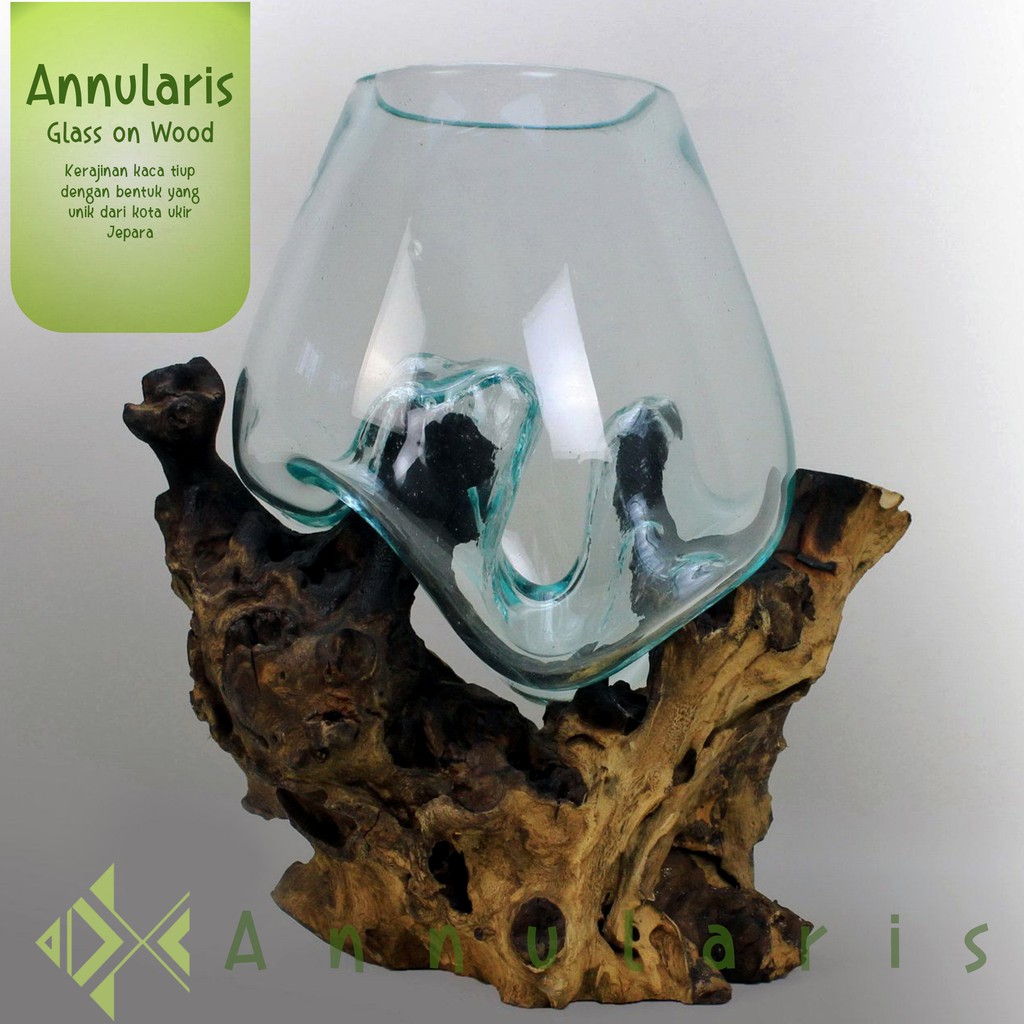 Glass on Wood / Vas Terrarium mini Pot Tanaman Kaktus Aquascape Kaca Akar Kayu Diamater 12 cm