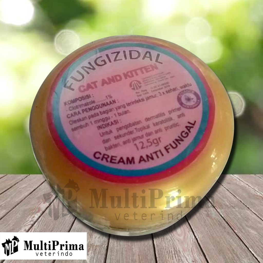 FUNGIZIDAL Obat Salep Cream Anti Fungal Jamur Bakteri Kucing Cat Kitten