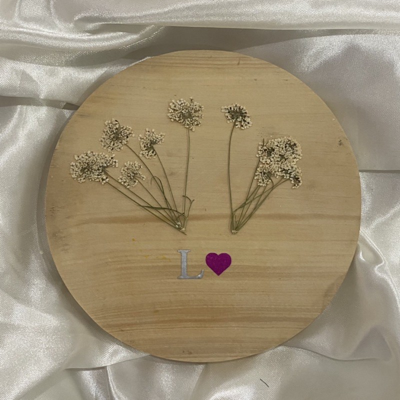 Pressed ammi majus dried flower bunga kering preserved epoxy resin