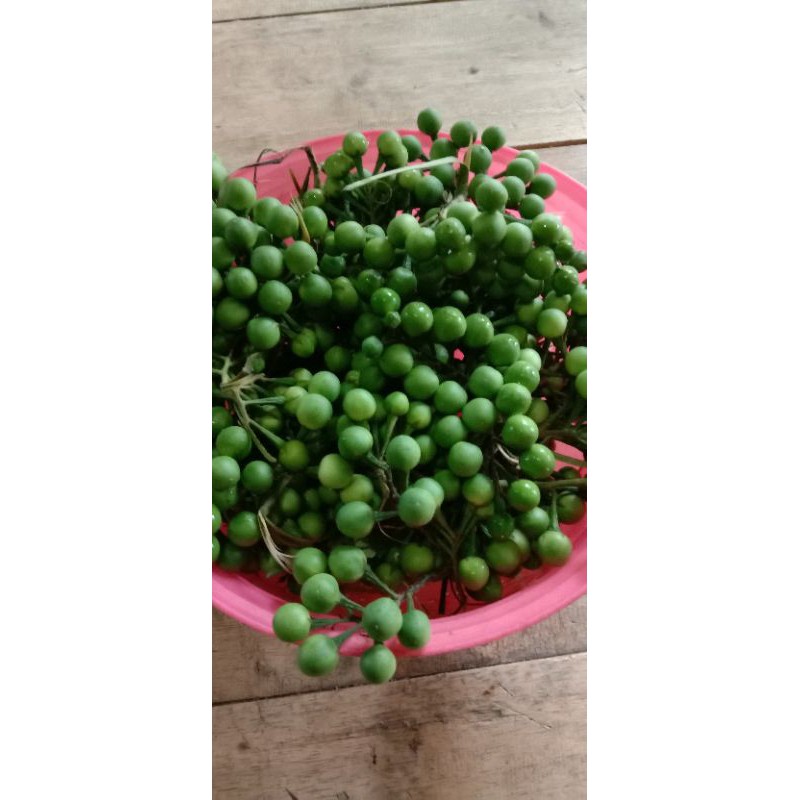 

BUAH TAKOKAK MURAH PISAN 500GRAM