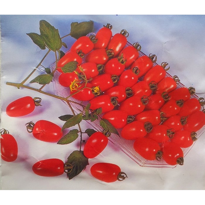 25 Benih Tomat F1 Cherry merah Tropical Ruby bibit tanaman sayur sayuran / buah ceri cerry cerri