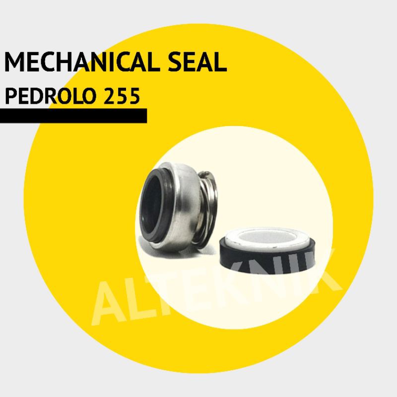 

MECHANICAL SEAL / SIL PEDROLO 255