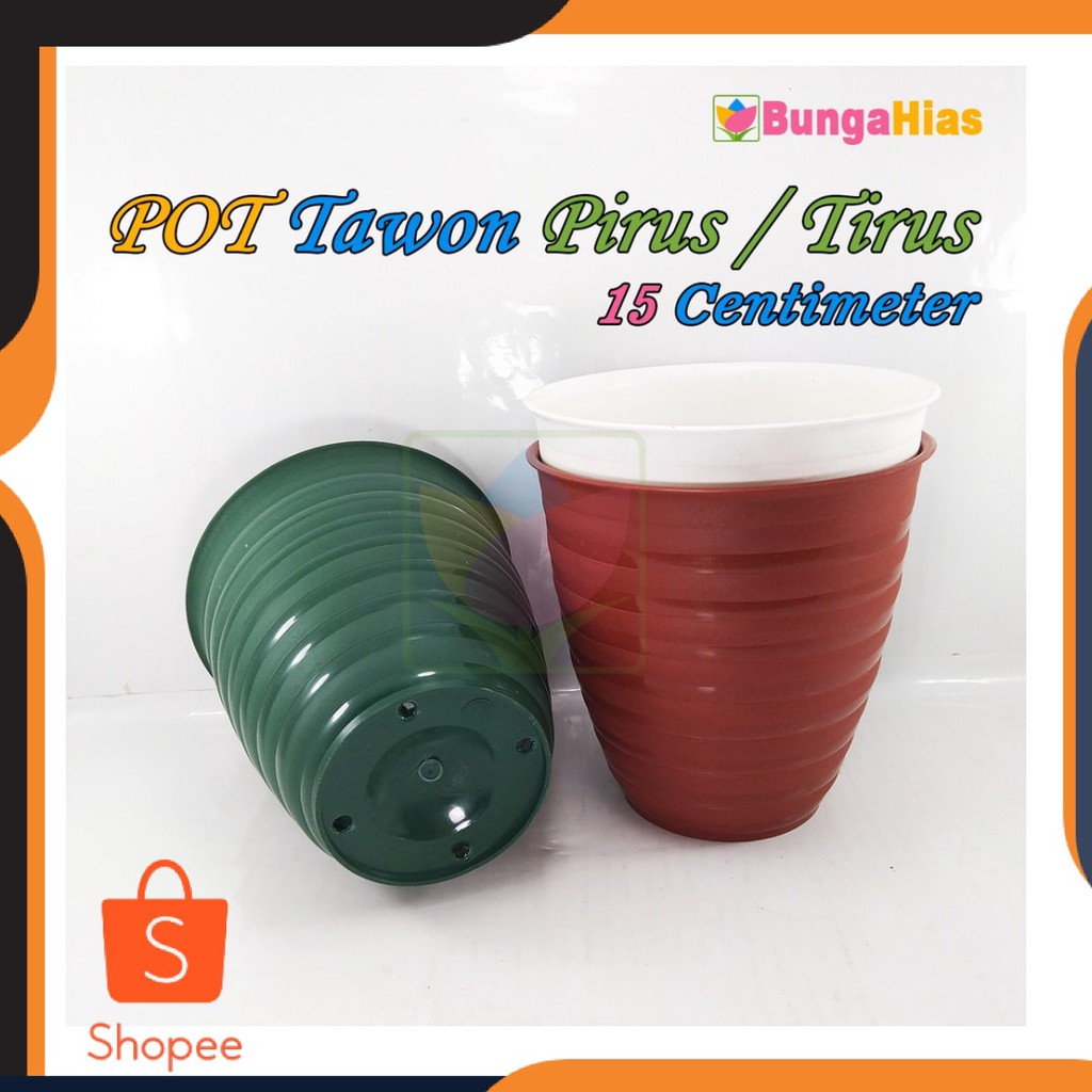 Jual New Best Seller Pot Tawon Pirus Tirus Cm Tanaman Bunga Hias