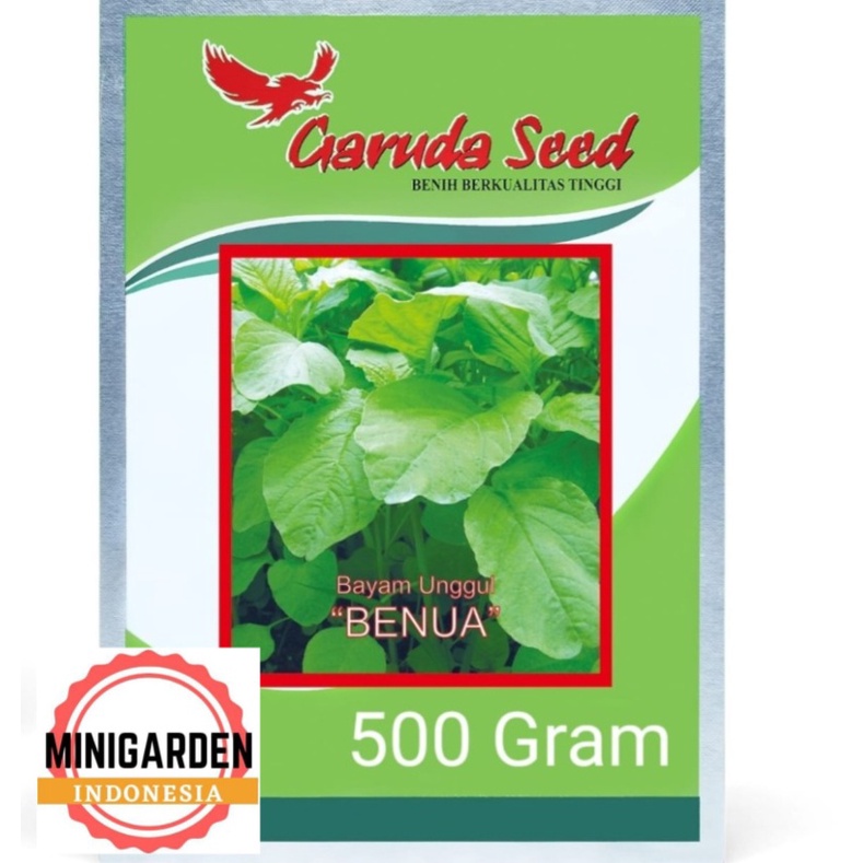 BAYAM BENUA 500 GRAM PACK BESAR benih biji bayam hijau unggul garuda seed