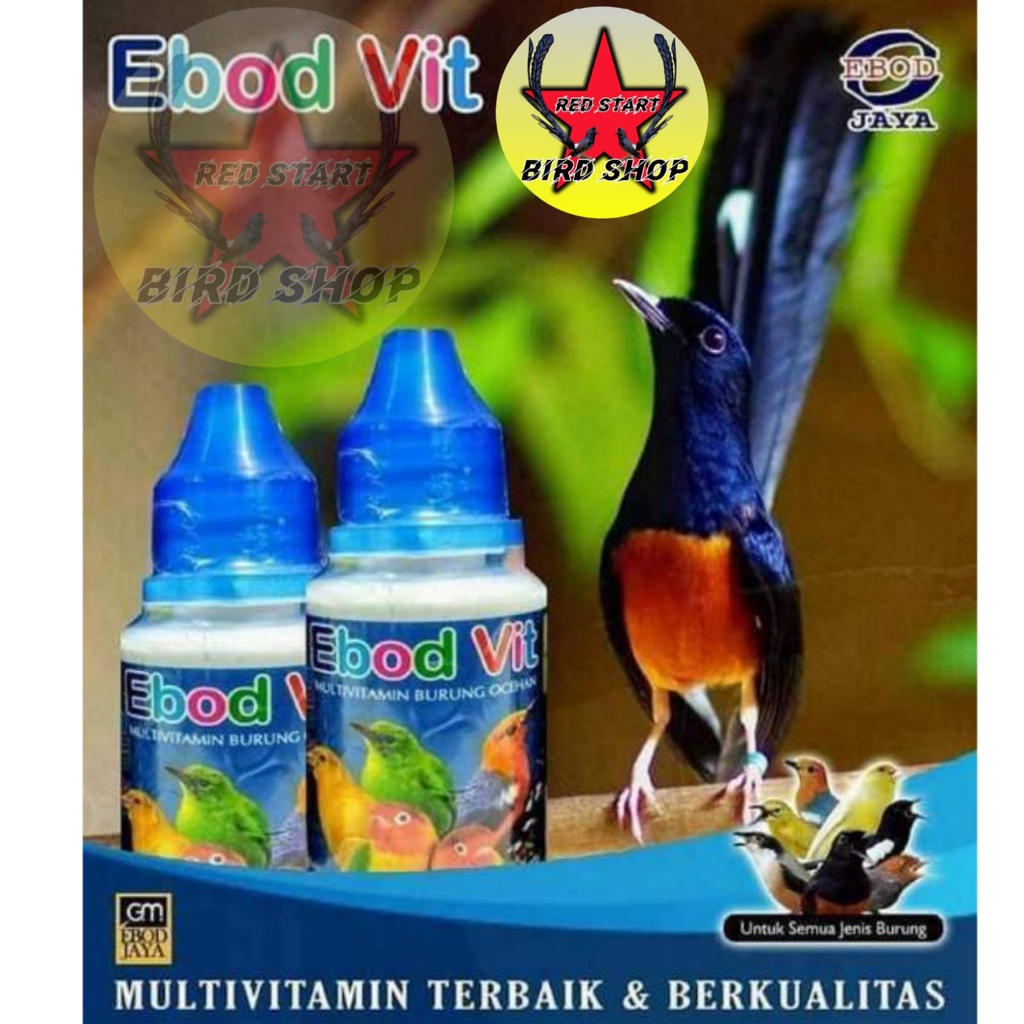 EBOD VIT VITAMIN EBOD JAYA OBAT BURUNG LOVEBIRD KENARI MURAI KACER PLECI MACET BUNYI KURUS