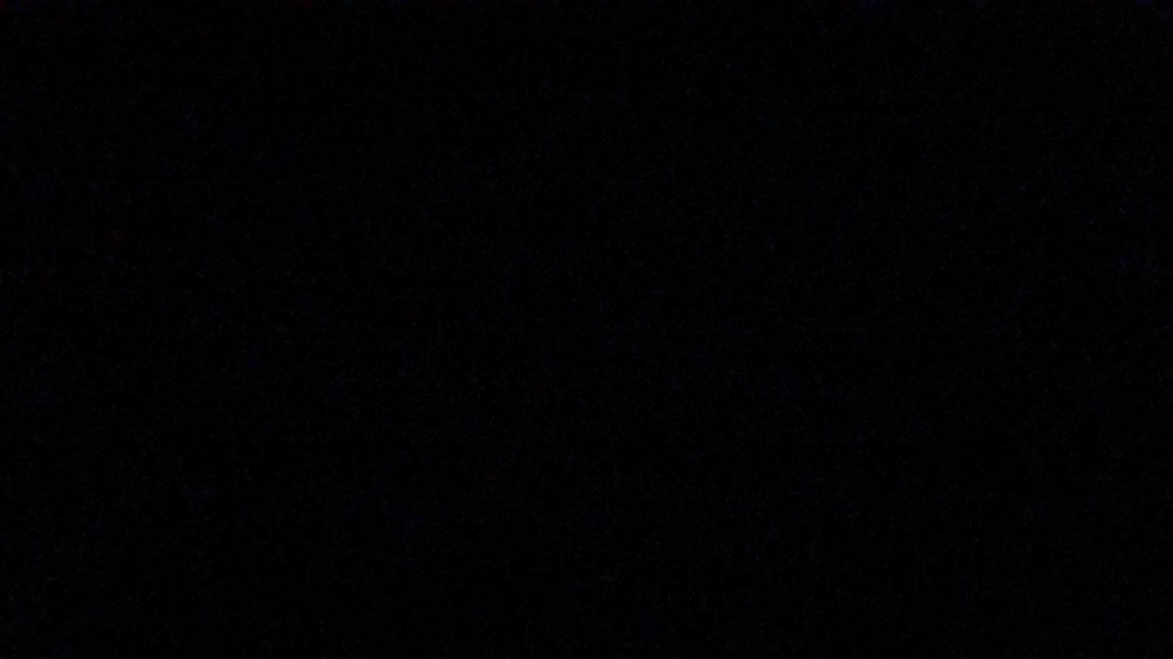 Pouch Pvc Transparan Gambar Unicorn Dinosaurus Kaktus