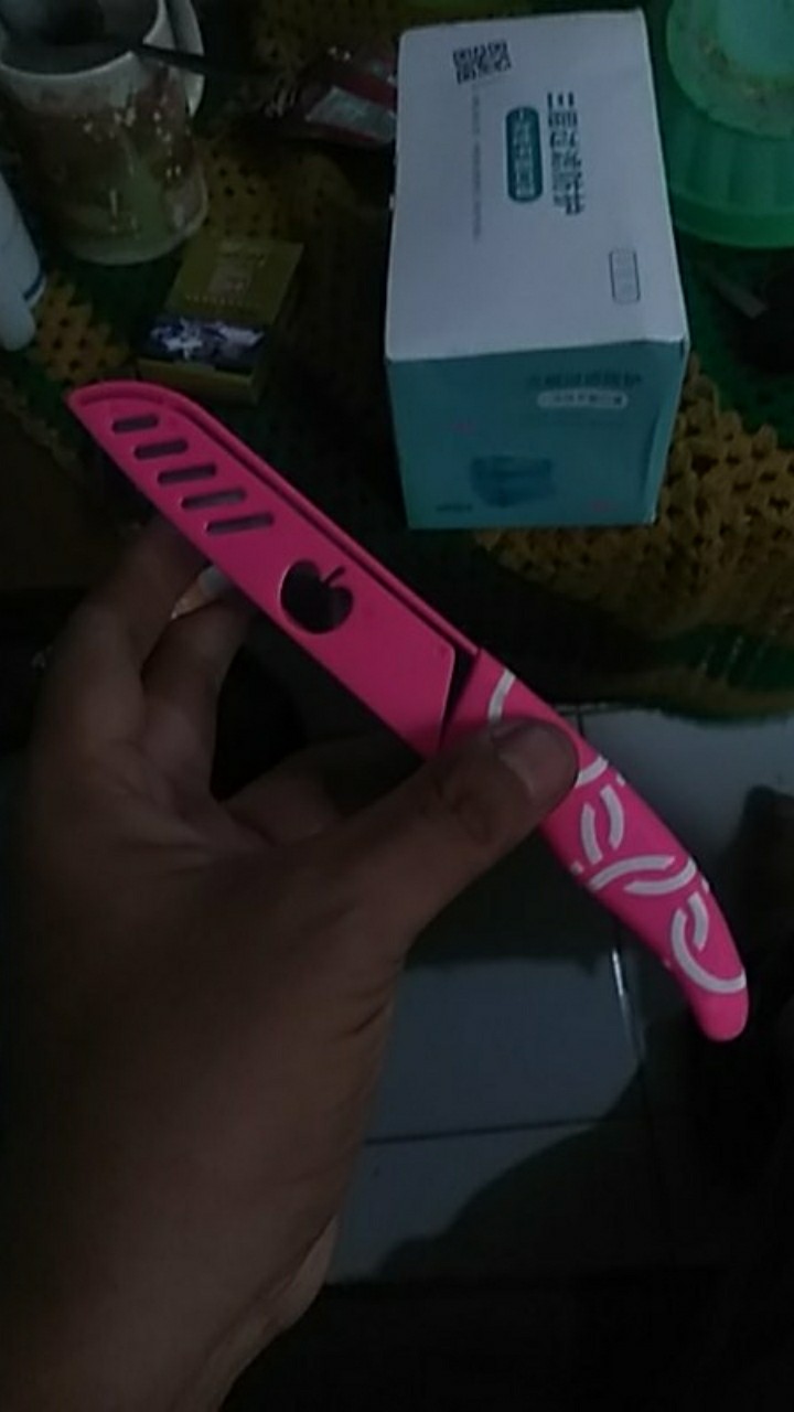 Pisau Apel Pisau Dapur Untuk Potong Buah Dan Sayur Bahan Stainless