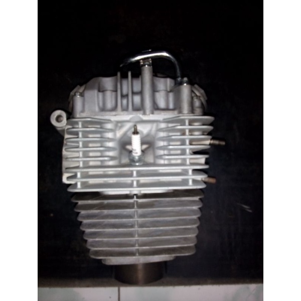 BLOK HEAD TIGER REVO ORIGINAL