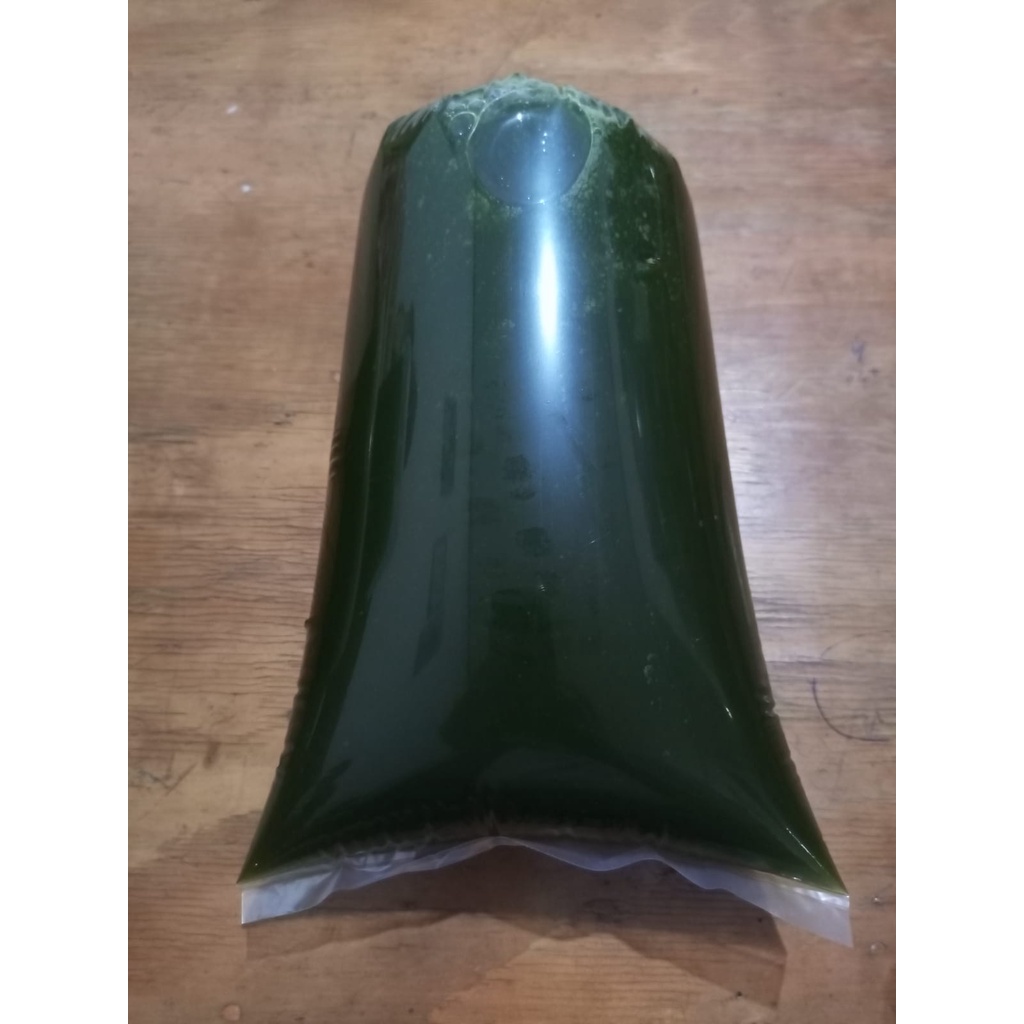 

Cincau Hijau Organik