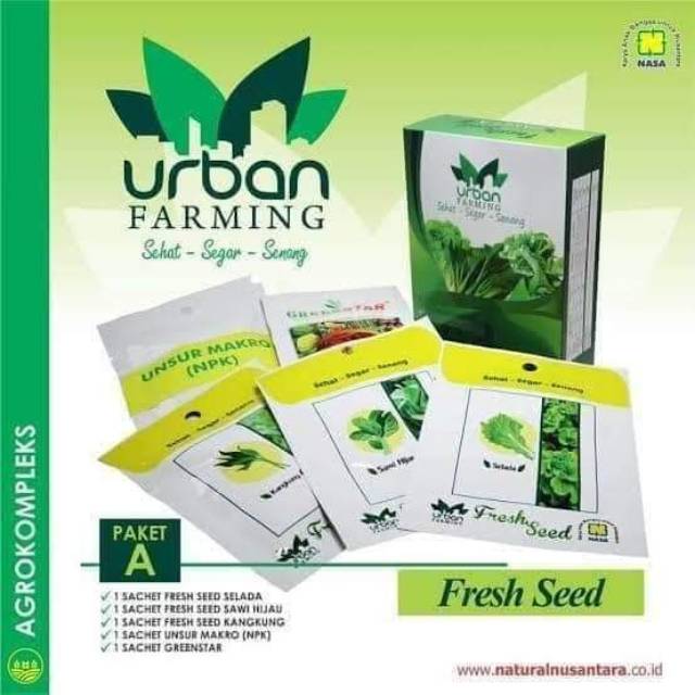 

Urban farming nasa paket a isi bibit selada sawi hijau dan kangkung