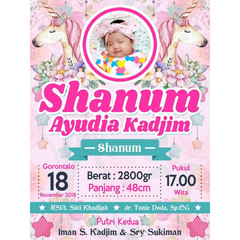 Bio baby biodata bayi soft file