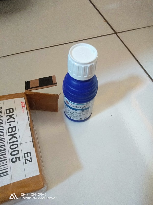 Insektisida Pembasmi Hama Ulat Curacron 500 Ec Original Kemasan 100 Ml