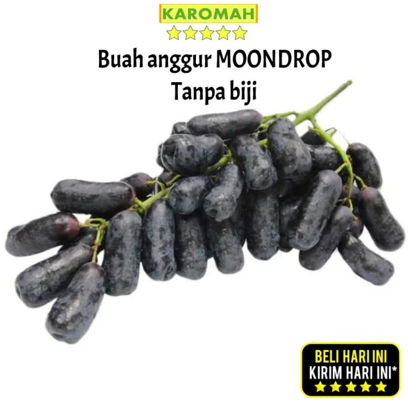 Buah Anggur Hitam Moondrop 500gram Tanpa Biji Anggur Kurma Anggur Panjang Senilai Rp45 000