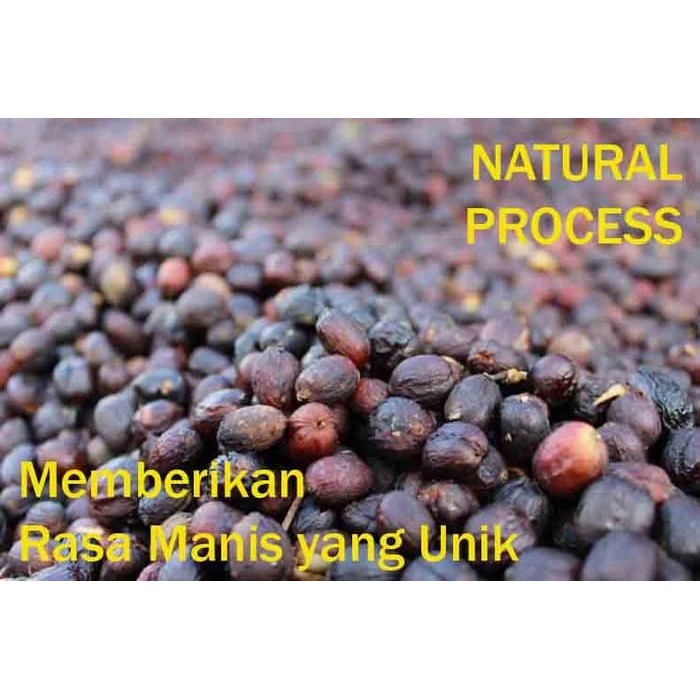 Kopi Robusta Malabar Green bean Coffee Natural Process Rasa Arabika