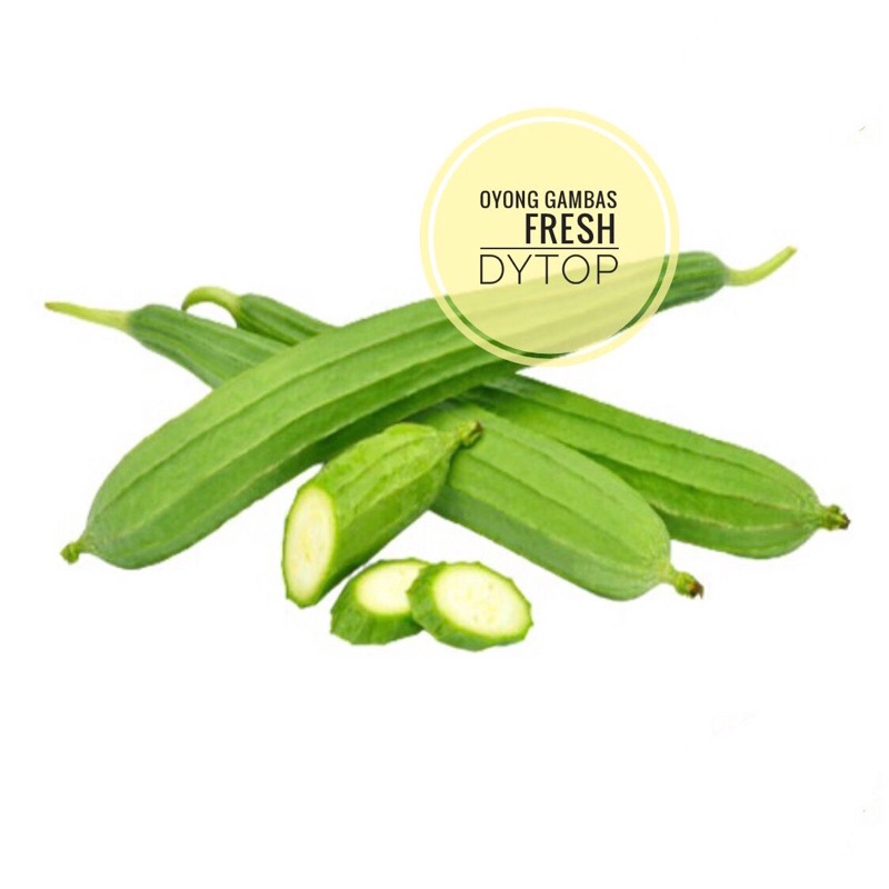 

Sayur Oyong Lokal Gambas Fresh Segar