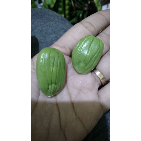 

RB PETE KUPAS 1000gr / 1kg