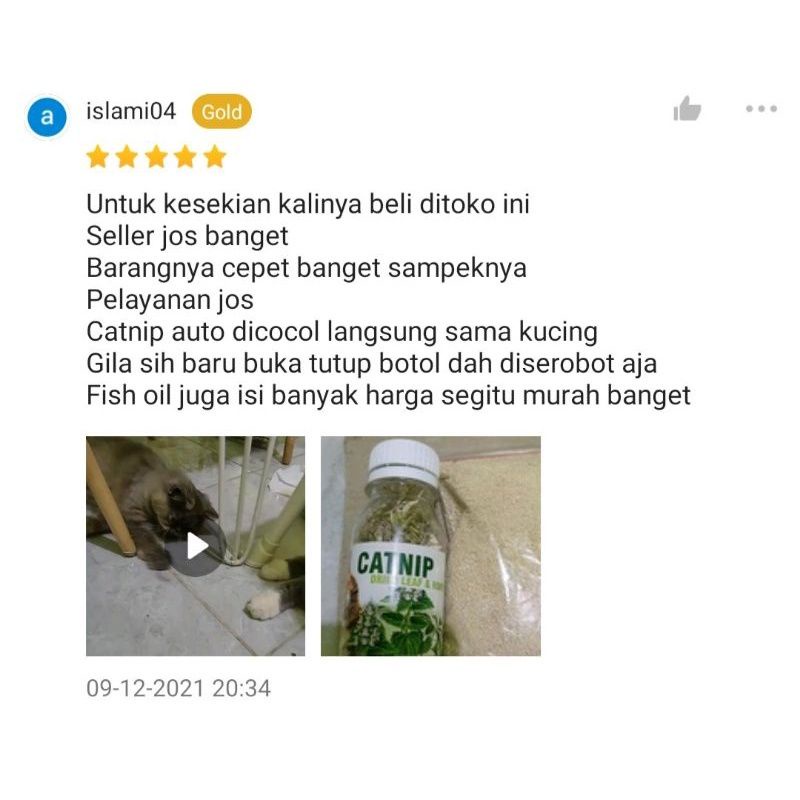 CATNIP BOTOL - Daun Akar CATNIP Makanan Kucing Catmint Obat Birahi Kucing Obat Stress Kucing