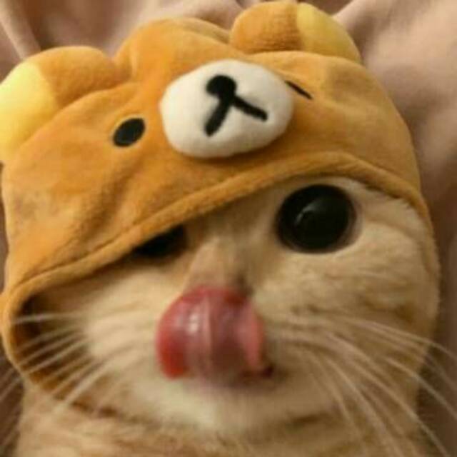 a*****6