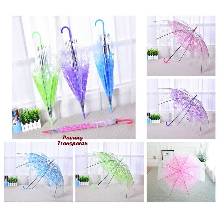 Payung TRANSPARAN Motif SAKURA (Payung keren model transparan)