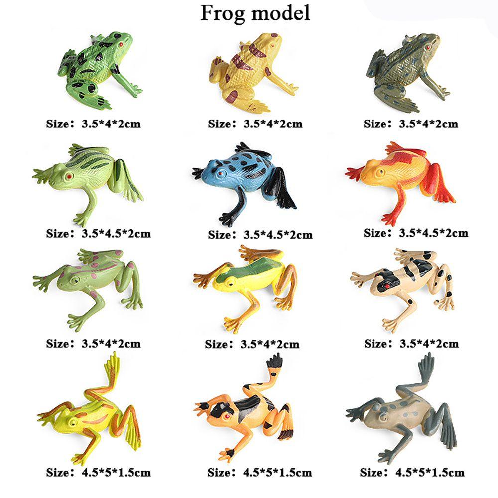 12 Pcs Simulasi Hewan Katak Amfibi Untuk Koleksi