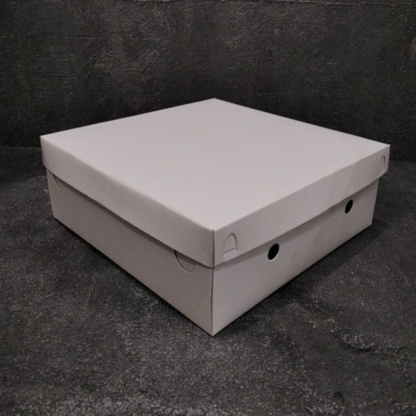 Dus 20 x 20 Mickey / Miki 400 gram per 50 pcs Kotak Nasi Katering