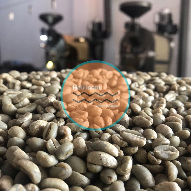 

GREAN BEAN GAYO ARABIKA-BIJI KOPI ARABICA GAYO 1000 gr