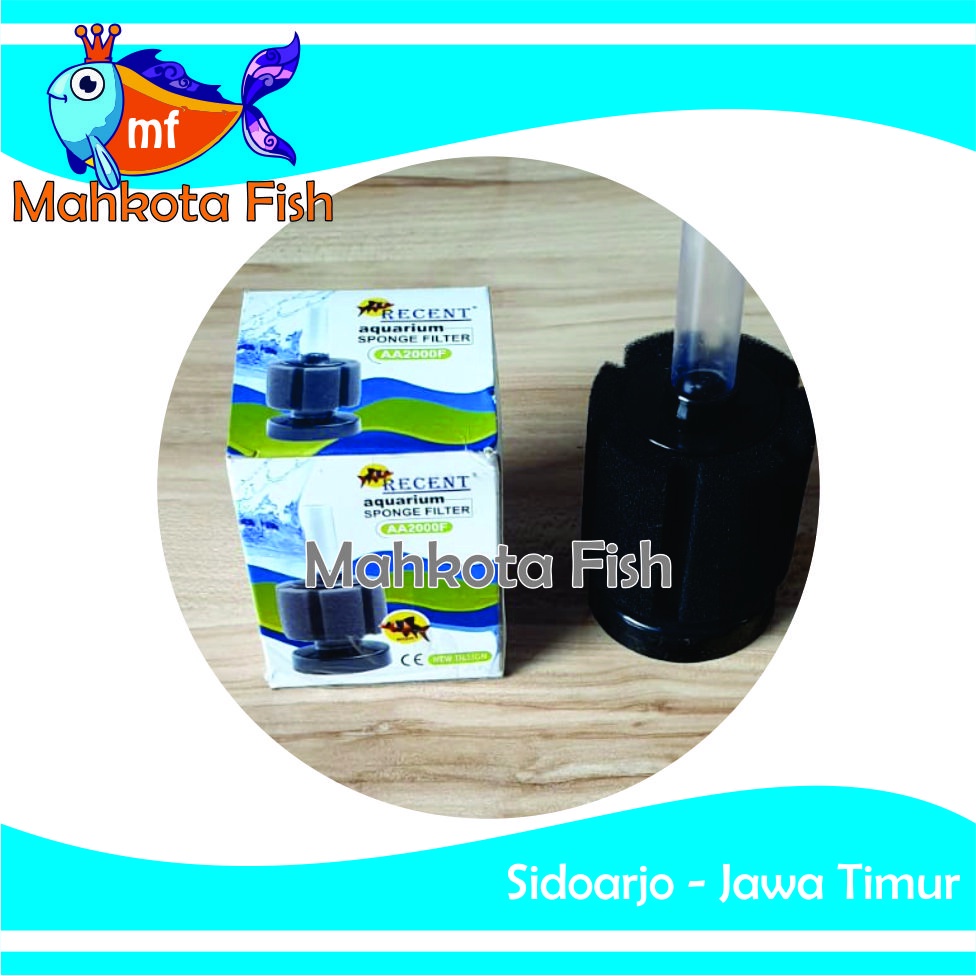 Sponge Filter | Filter Mini | Bio Filter | Bioafoam Filter | Filter Busa | Filter Aquarium (GRATIS BUBLE !!)