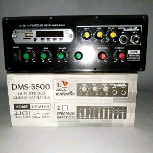 Kit Amplifier Home Theater 2 1 Channel plus Mp3 dan Digital karaoke Echo System DMS 5500