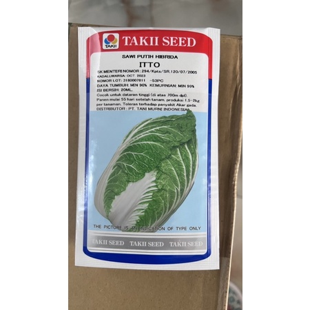 BENIH SAWI PUTIH ITTO