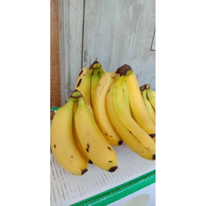 

Pisang Cavendish Buah Alam