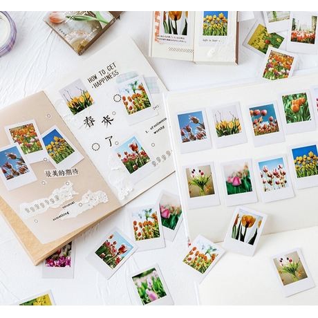 Label Stickers - Tulip (46pcs)