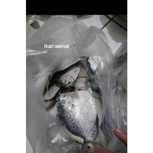 

ikan asin